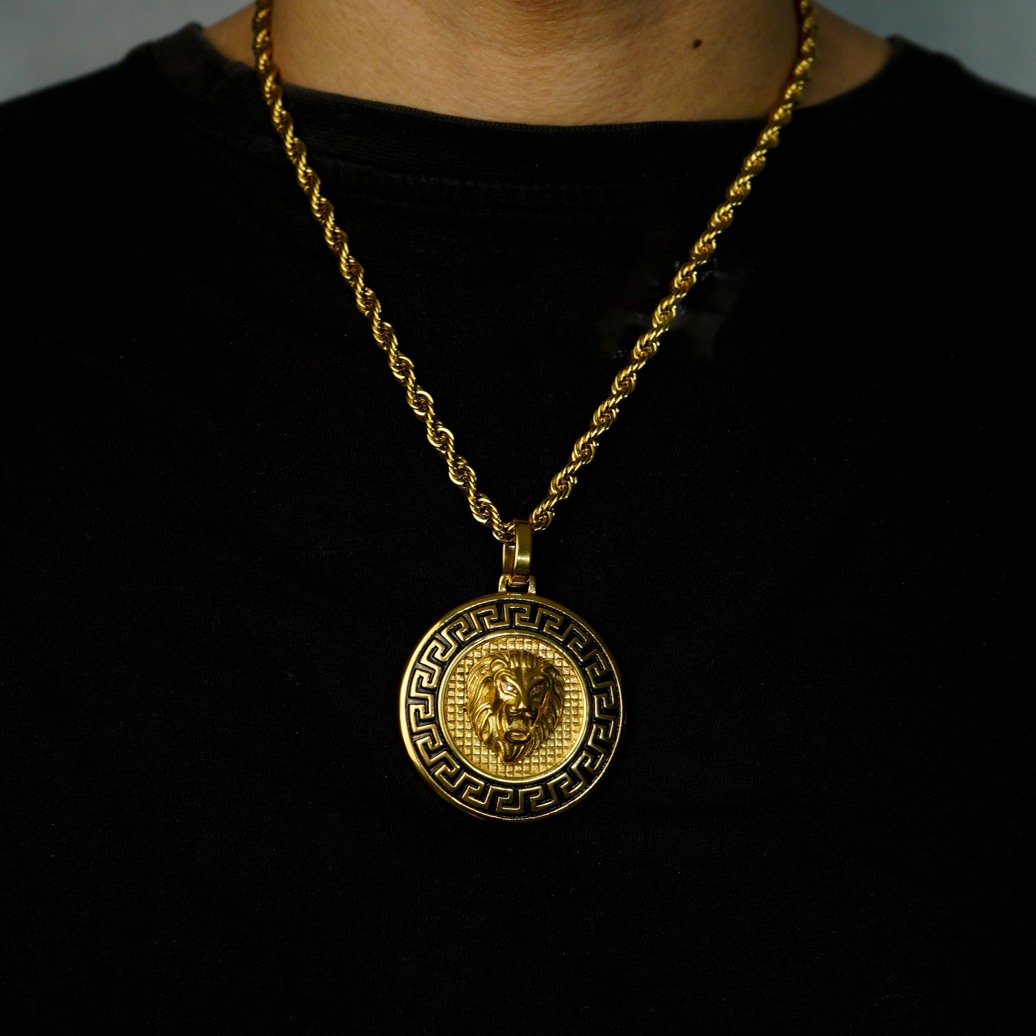 Colgante Medalla Leon Chapada En Oro De 18 K Oro 18K