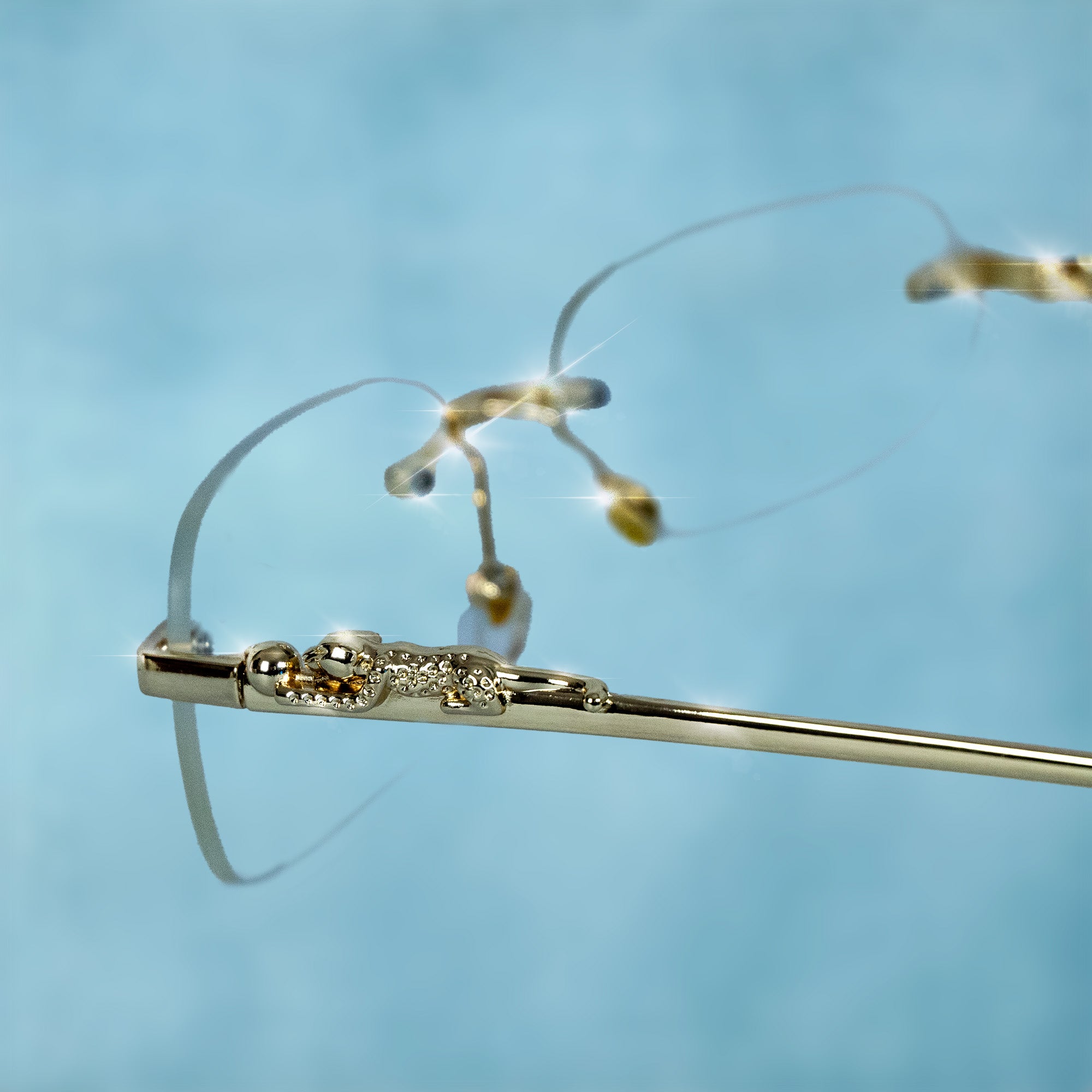 Gafas Gold Jaguar
